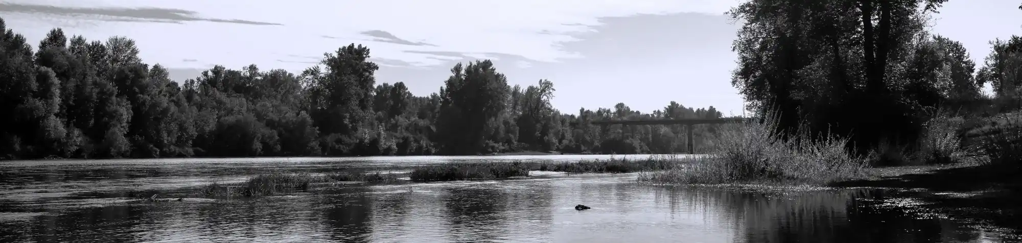 Photo of the Willamette River from Independence, OR